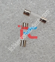 Cầu Chì 10A cài