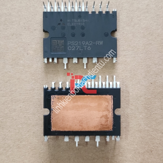 PS219A2-RW